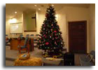 CAFC Christmas 2008